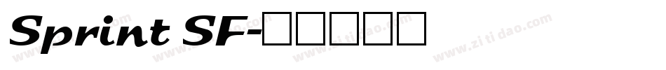 Sprint SF字体转换